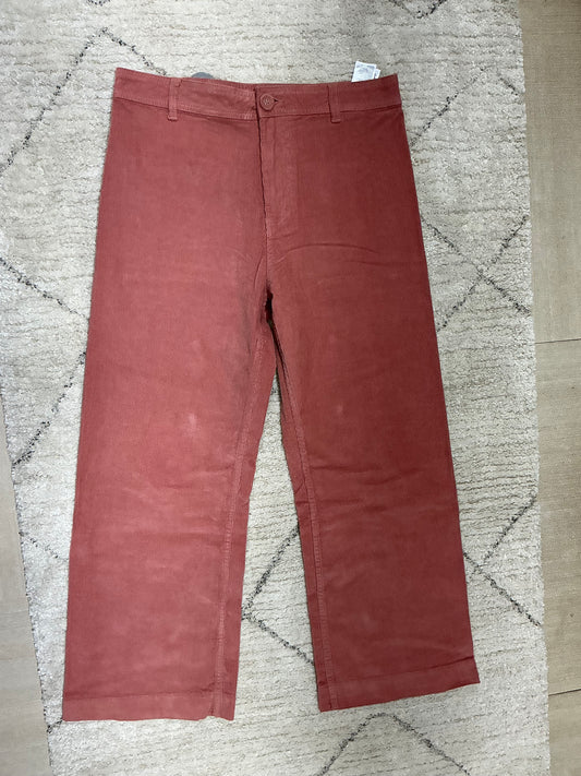 Ladies pants(30)